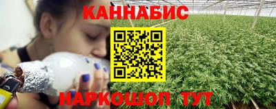 сатива Заволжье