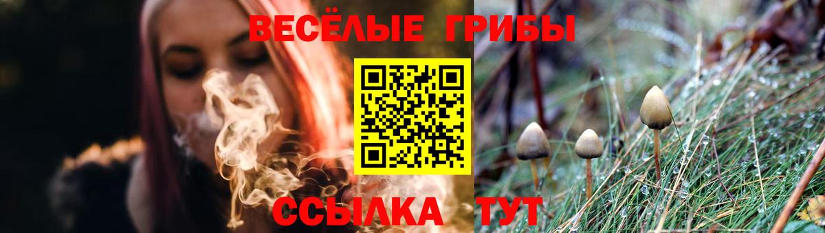 Галлюциногенные грибы Cubensis Сарапул